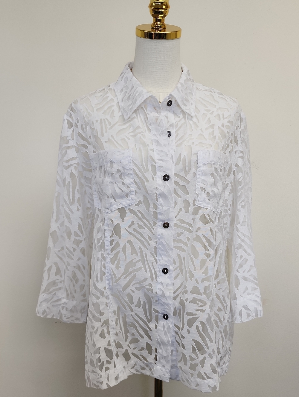 White Sheer Button-Front Women's Top